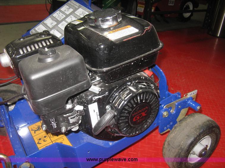 image for item BP9739 Blue Bird Bed Bug landscape edger