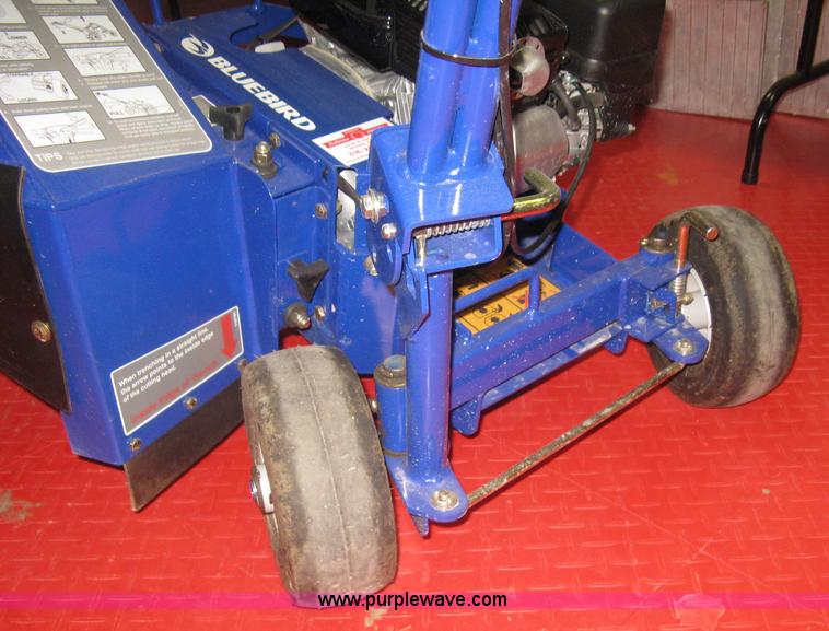 image for item BP9739 Blue Bird Bed Bug landscape edger