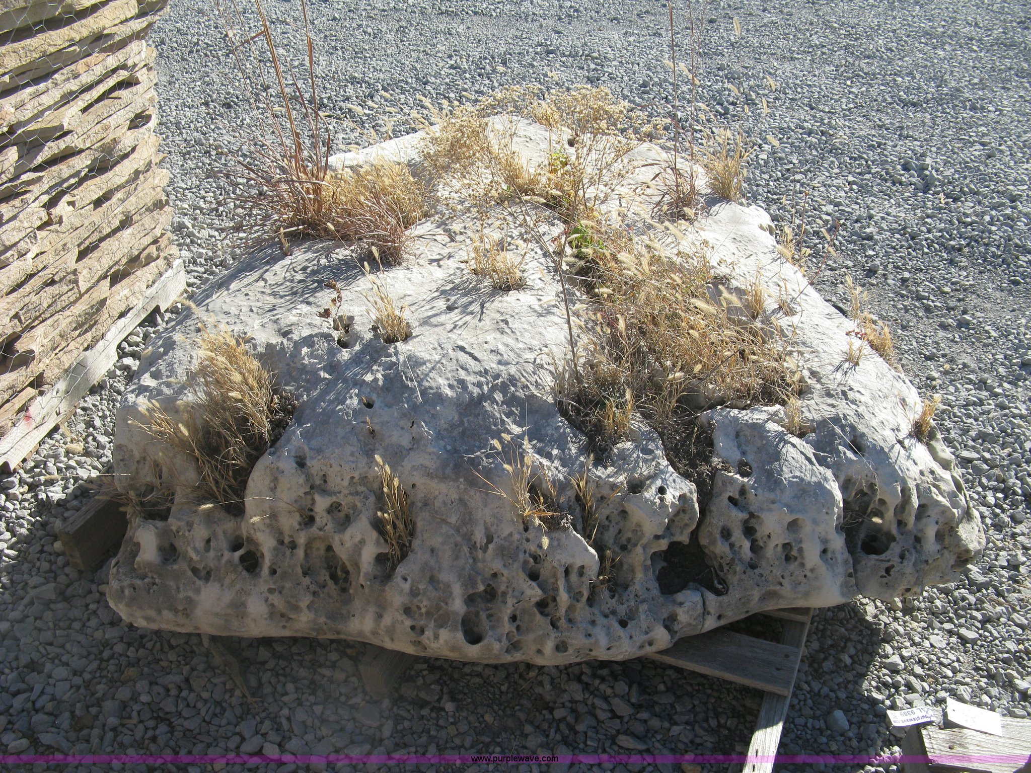 Holey limestone boulder in Wichita, KS | Item AL9388 sold | Purple Wave