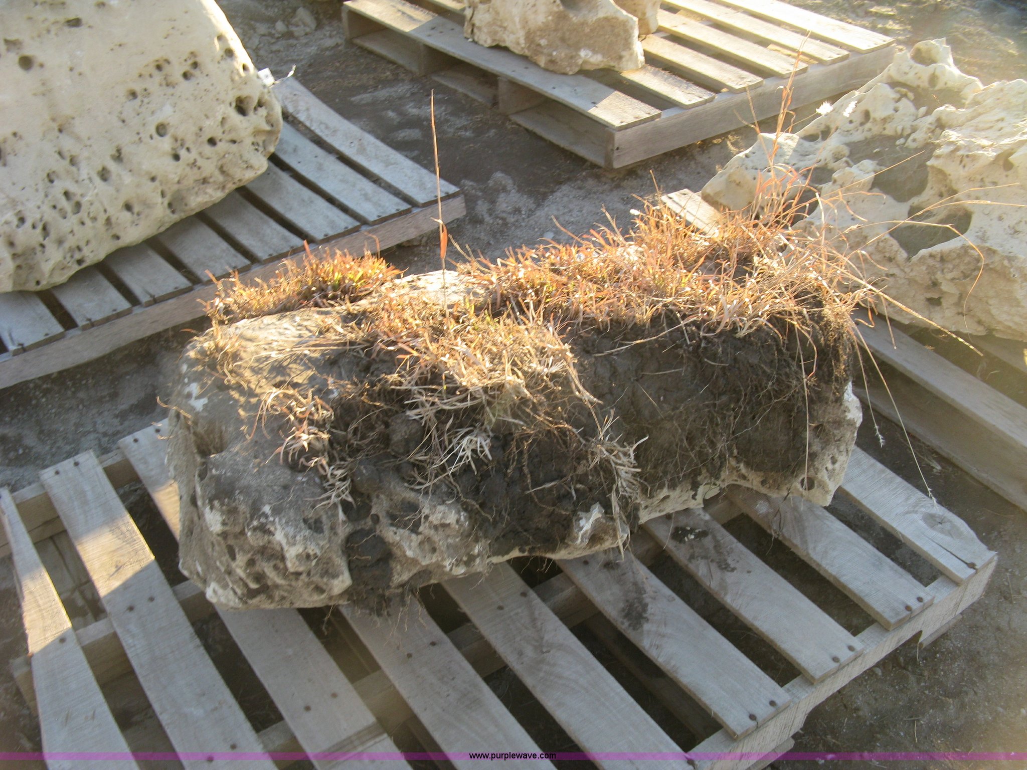 (2) holey limestone boulders in Wichita, KS | Item BF9322 sold | Purple ...