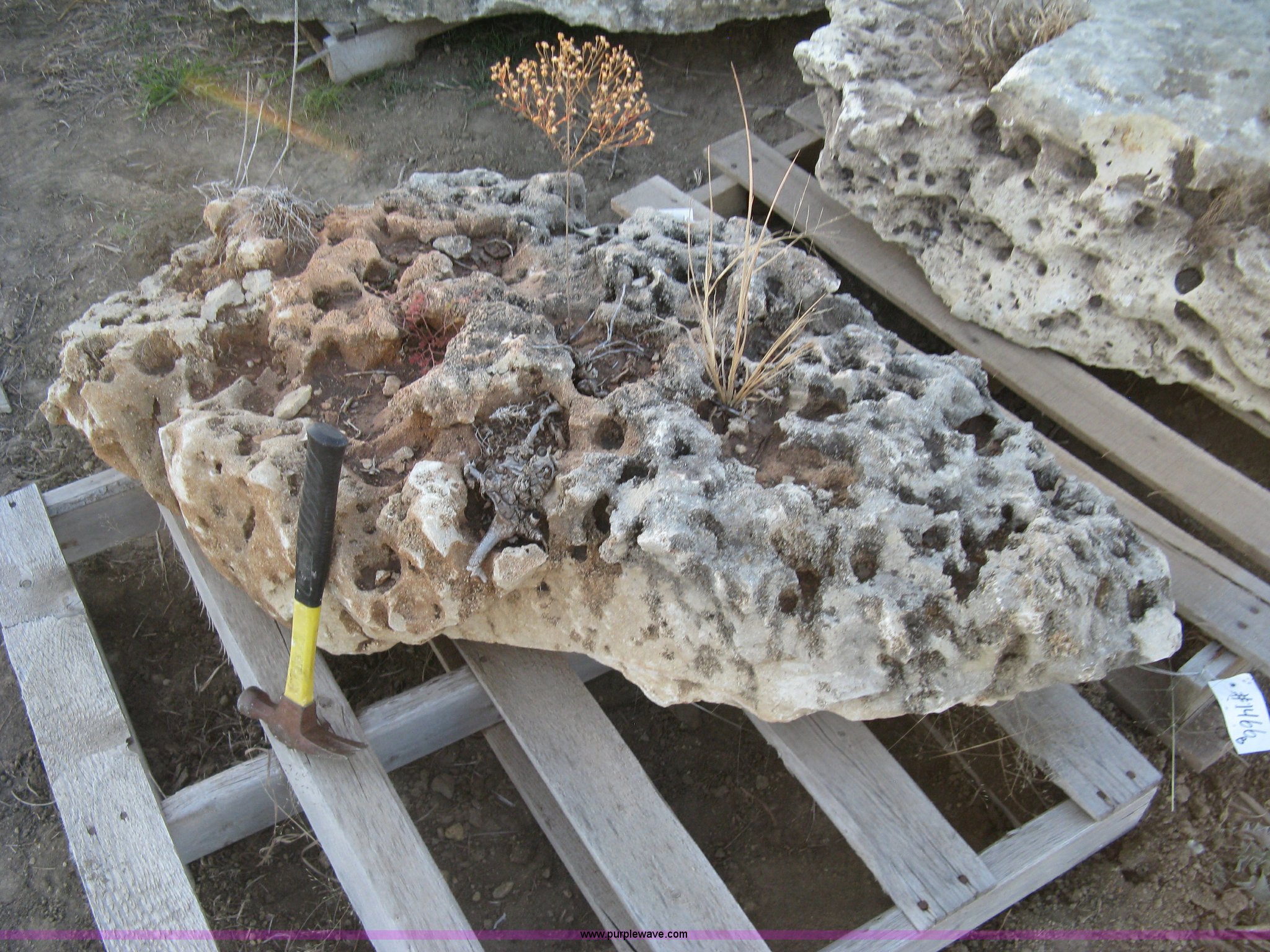 (2) holey limestone boulders in Wichita, KS | Item BF9522 sold | Purple ...