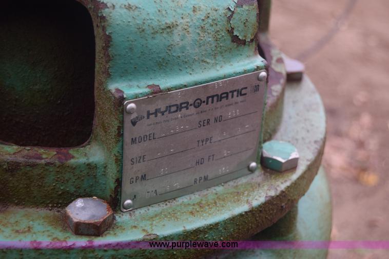 image for item BO9733 (2) Hydromatic pumps