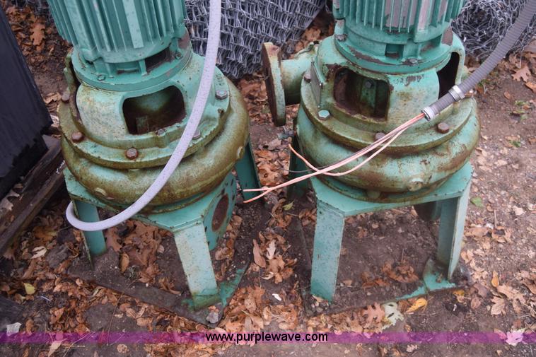 image for item BO9733 (2) Hydromatic pumps