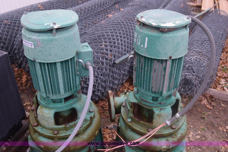 image for item BO9733 (2) Hydromatic pumps