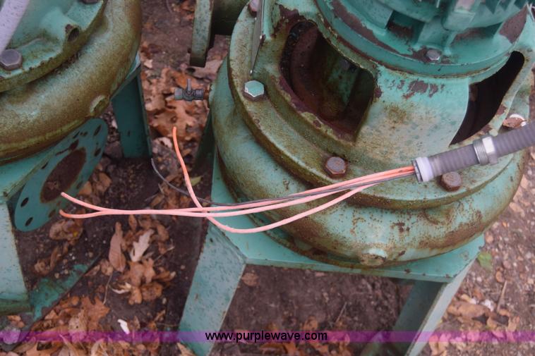 image for item BO9733 (2) Hydromatic pumps