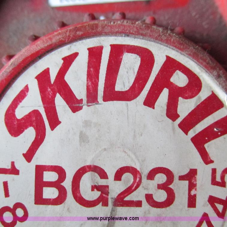 image for item BG9176 Skirill BG231 post driver