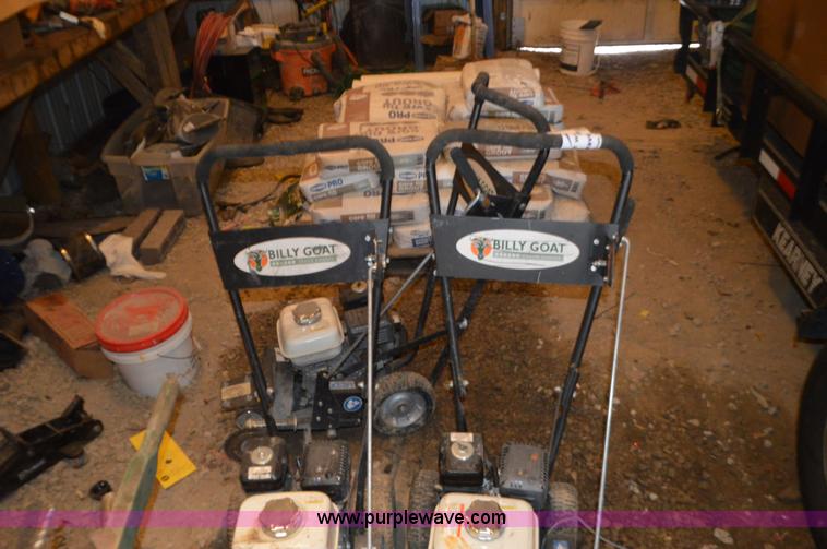 image for item K5281 (3) Bill Goat grazors