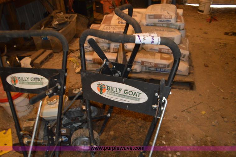 image for item K5281 (3) Bill Goat grazors