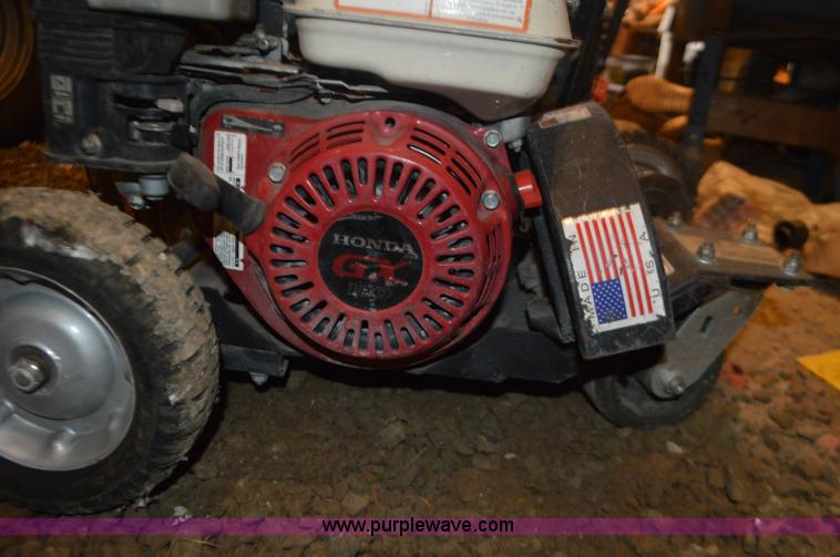 image for item K5281 (3) Bill Goat grazors