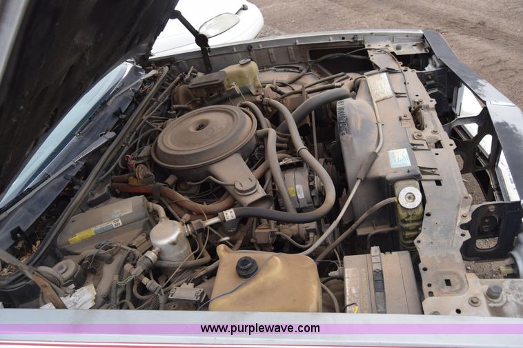 image for item K4902 1984 Chevrolet Monte Carlo