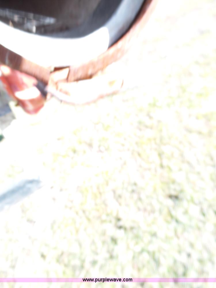 image for item BL9737 Berkeley water pump