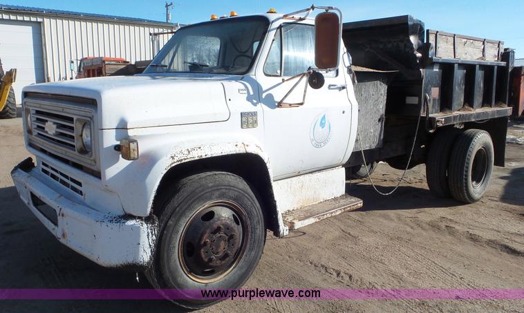 image for item K6959 1974 Chevrolet C60 dump truck