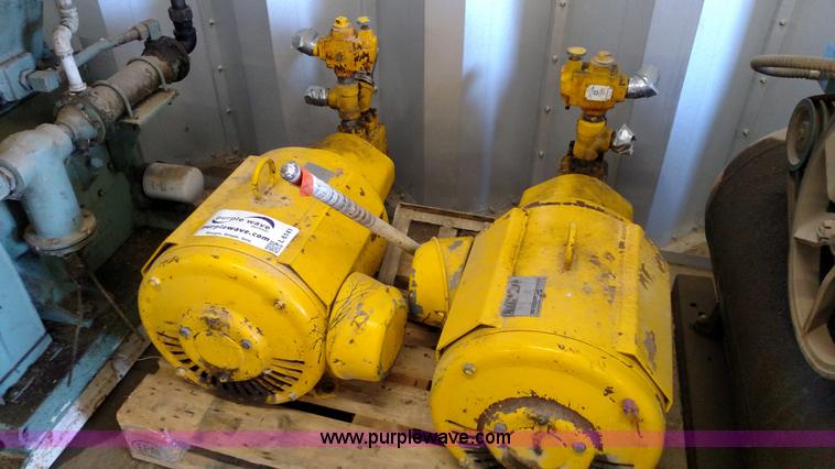 image for item L6141 (2) Lincoln Multigaurd electric over hydraulic pumps
