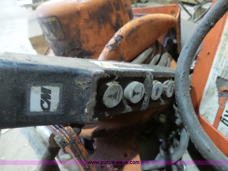 image for item L3986 CM overhead hoist