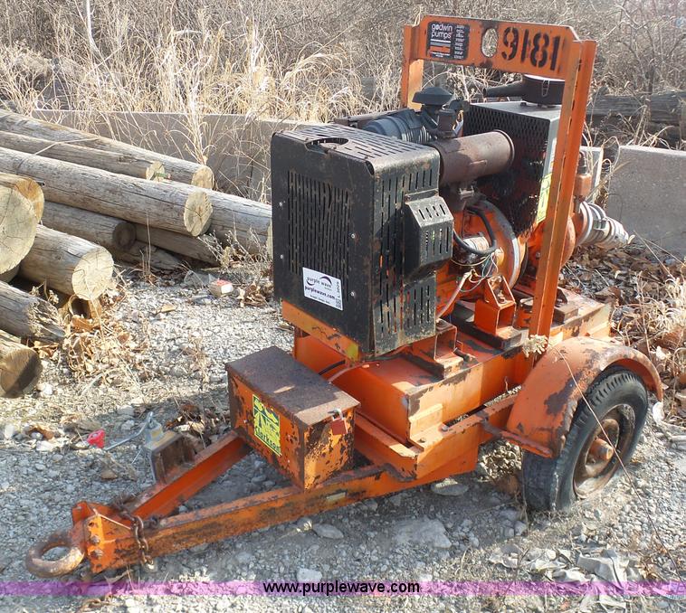 image for item L3029 Godwin CD100M BS water pump