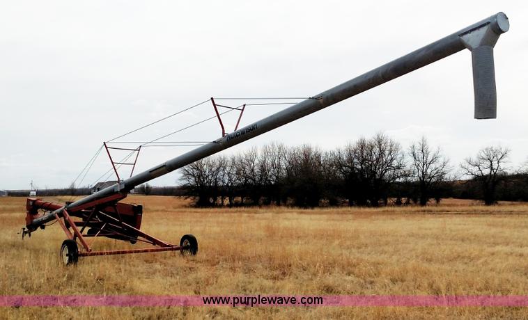 image for item F1193 Hutchinson swing hopper auger