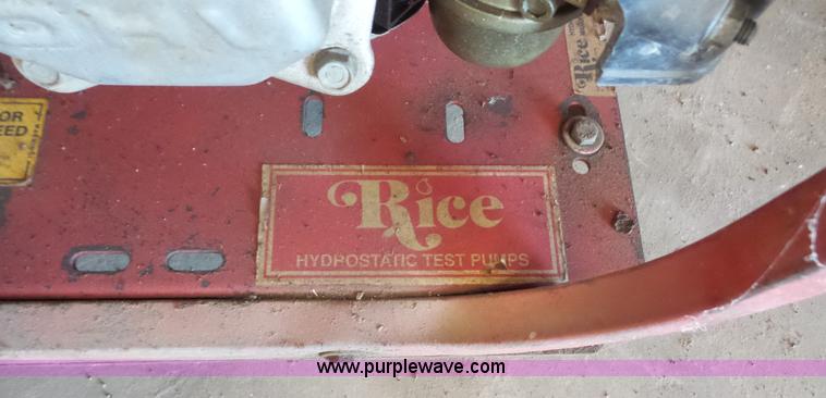 image for item BF9007 Rice hydrostatic test pump