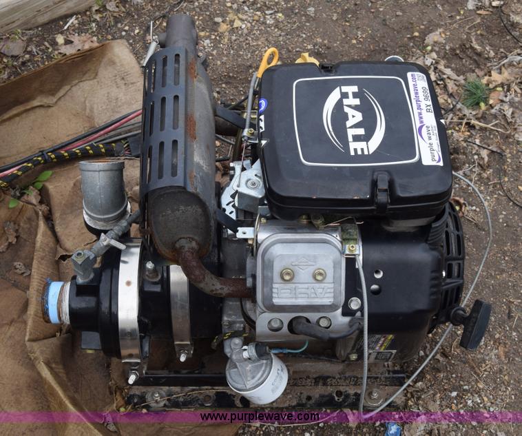 image for item BX9699 Hale pump