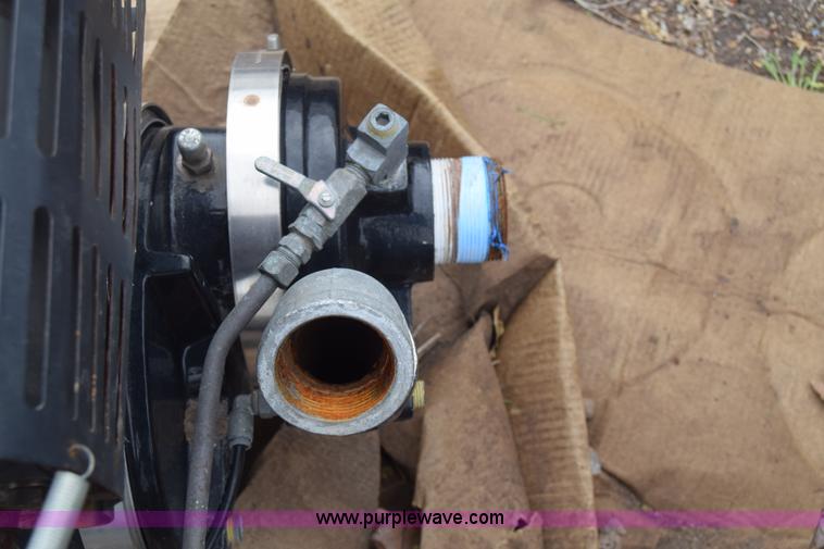 image for item BX9699 Hale pump