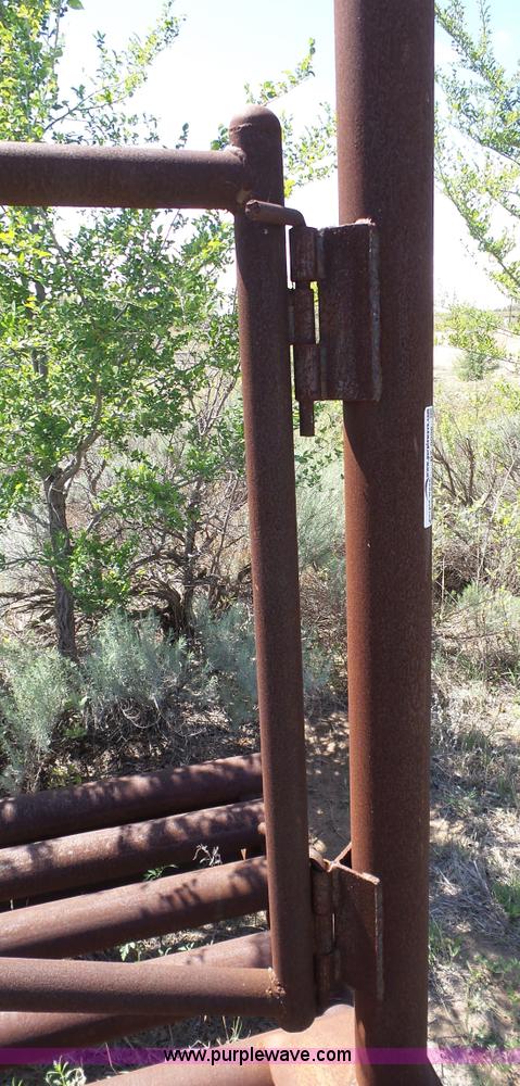 image for item BZ9096 Cattle guard with gate