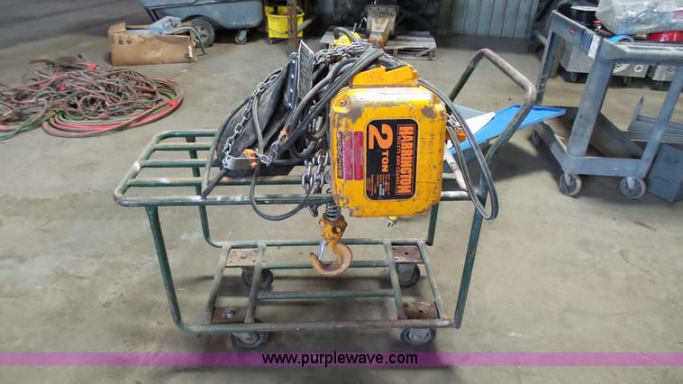 image for item BZ9449 Harrington electric hoist
