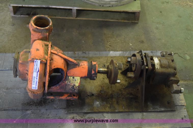 image for item BW9915 Berkley pump