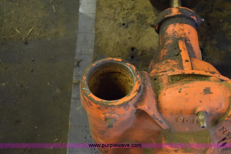 image for item BW9915 Berkley pump