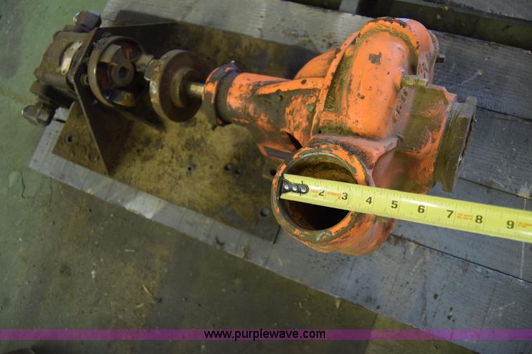 image for item BW9915 Berkley pump