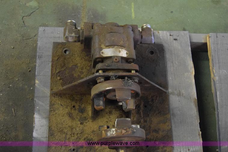 image for item BW9915 Berkley pump