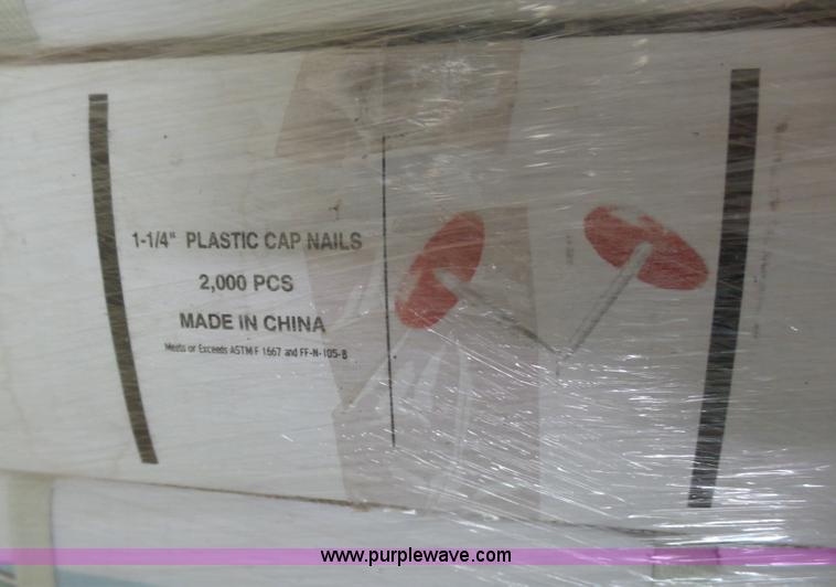 image for item K5401 (24) boxes plastic cap nails