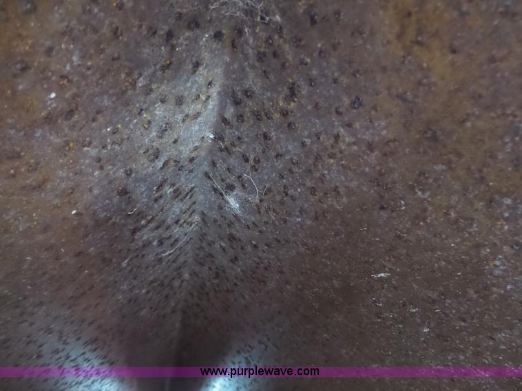 image for item L6238 Mobility 900 fertilizer spreader