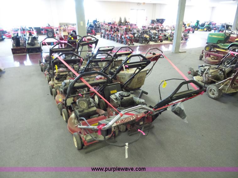 image for item BS9788 (13) push mowers