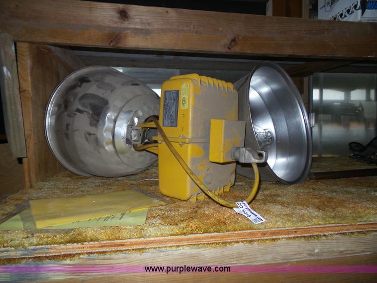 image for item CD9018 (2) hallide lights