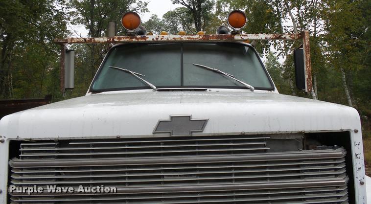 image for item J1634 1979 Chevrolet Bruin truck with tree spade