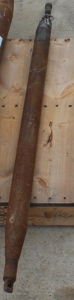 image for item F1245 Piercing mole