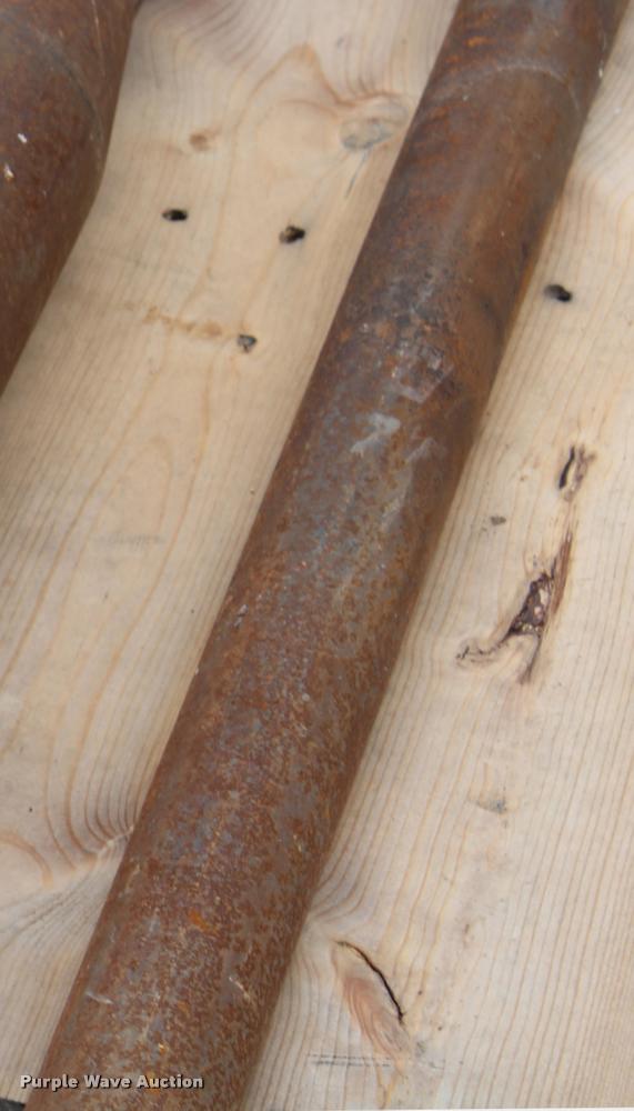 image for item F1245 Piercing mole