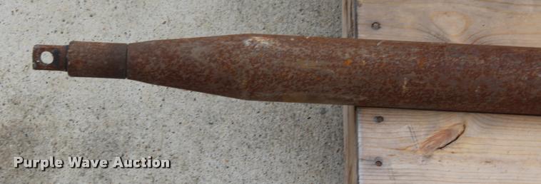 image for item F1245 Piercing mole