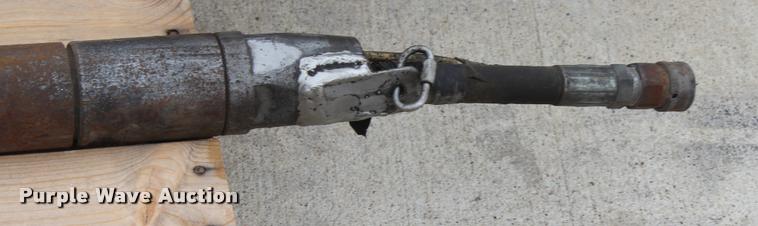 image for item F1245 Piercing mole