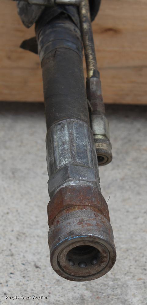 image for item F1245 Piercing mole