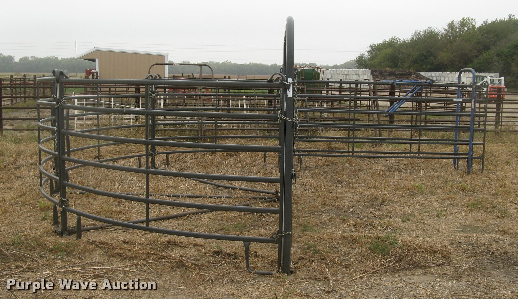 Priefert cattle tub/alley in Sedgwick, KS Item BL9138 sold Purple Wave