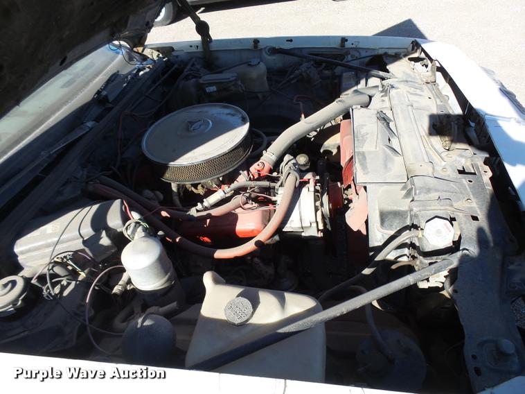 image for item DA2061 1979 Oldsmobile Cutlass