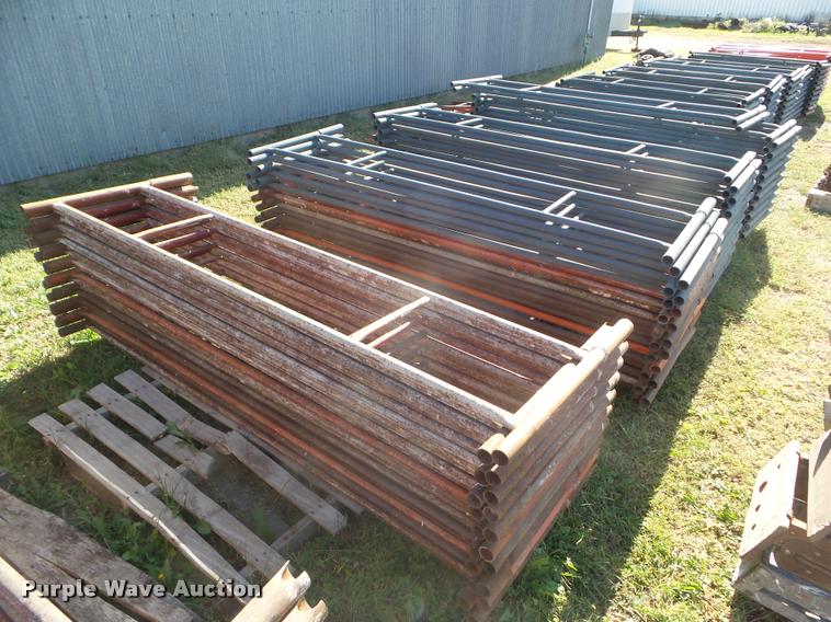 image for item BK9427 Brainard scaffold