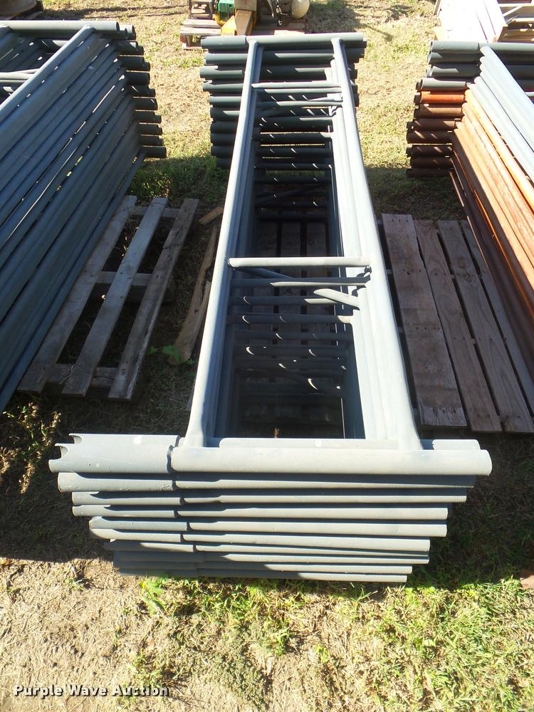 image for item BK9427 Brainard scaffold