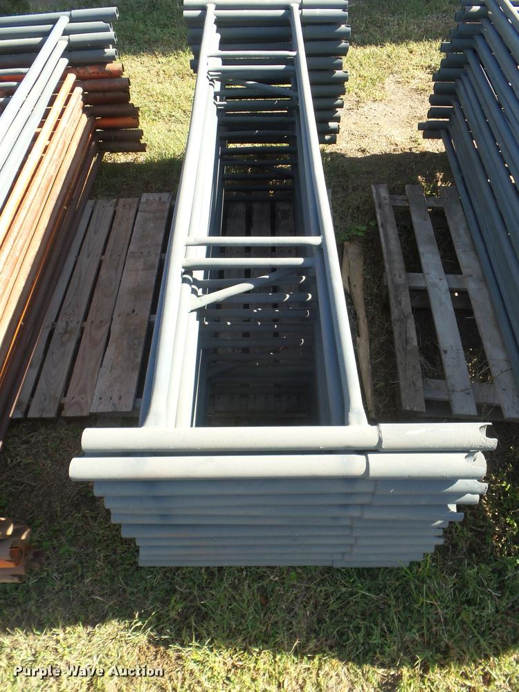 image for item BK9427 Brainard scaffold