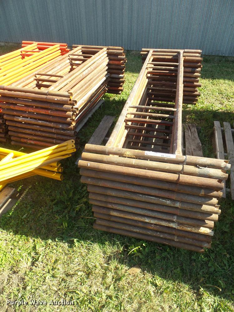 image for item BK9428 Brainard scaffold