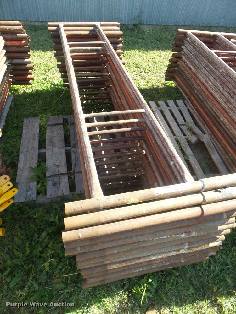 image for item BK9428 Brainard scaffold