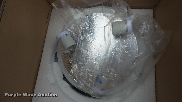 image for item DF9248 (3) Kichler Oplal glass lights