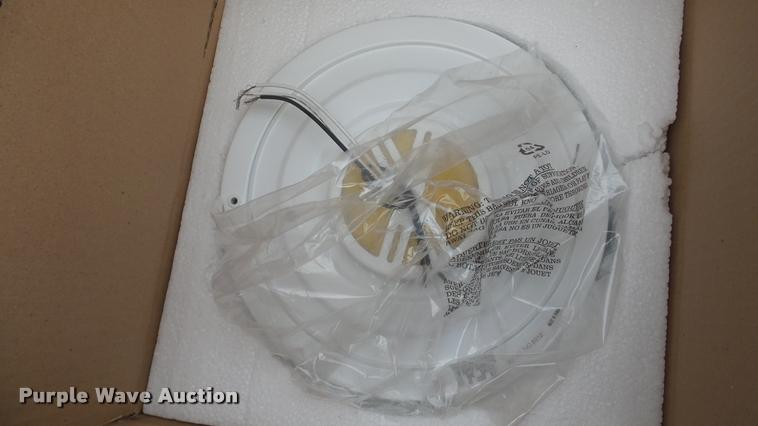 image for item DF9248 (3) Kichler Oplal glass lights