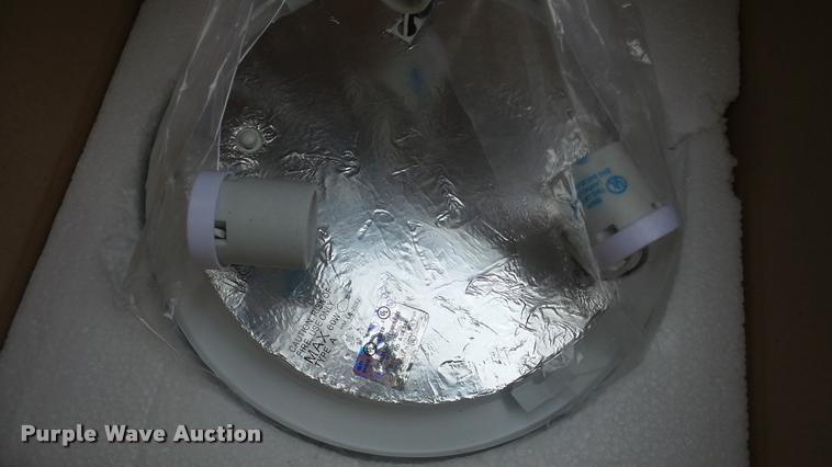 image for item DF9248 (3) Kichler Oplal glass lights