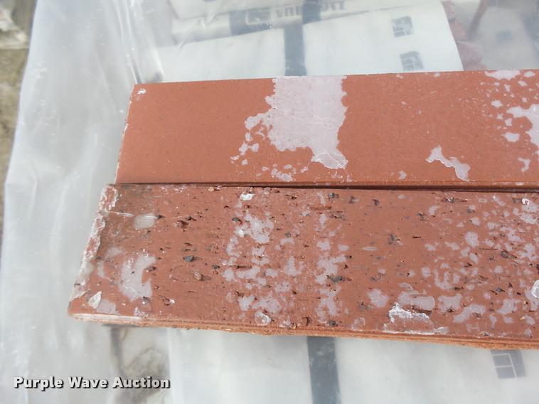 image for item DA9319 Endicott red blend bricks